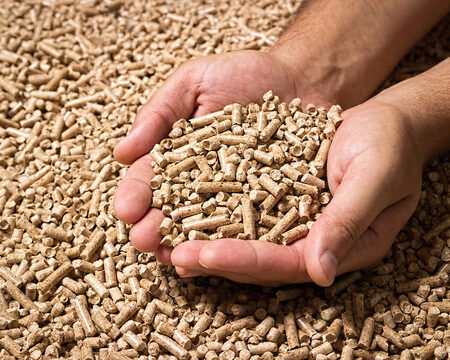 Wood pellets